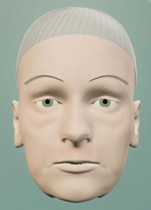 Screenshot des dreidimensionalen Frauenkopfs im Talking-Head-Playground